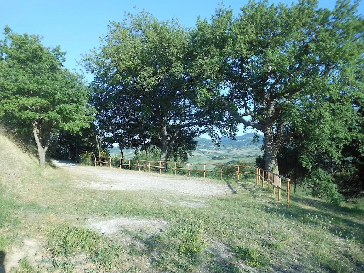 Villa Oliveta, View Of Montepulciano Torrita di Siena Italy